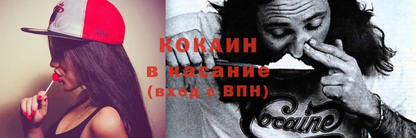 Альфа ПВП Аркадак