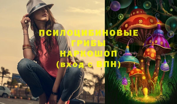 альфа пвп Армянск