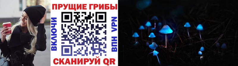 Псилоцибиновые грибы прущие грибы Мурманск