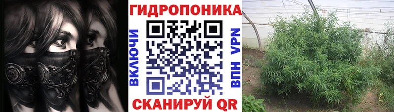 Канабис Amnesia  Купить  Мурманск 